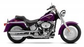 2002 Harley-Davidson FLSTF Fat Boy photo